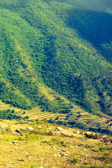 nag-tibba-trekking-package